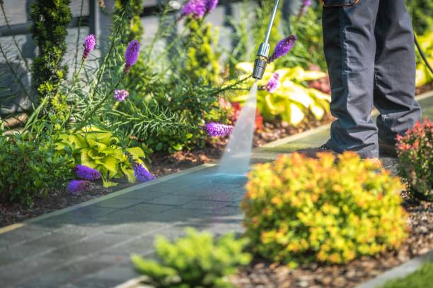 Professional Pressure Washing Services in Carterville, MO