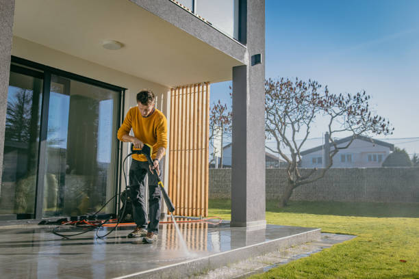 Best Brick and Stone Cleaning in Carterville, MO