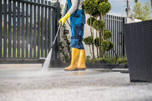 Best Fence Cleaning and Maintenance in Carterville, MO