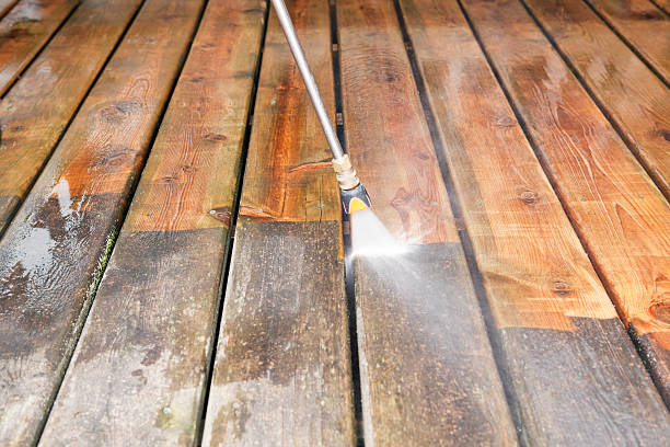 Best Vinyl Siding Pressure Washing in Carterville, MO