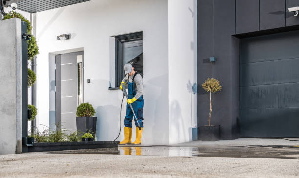 Best Soft Washing for Delicate Surfaces in Carterville, MO